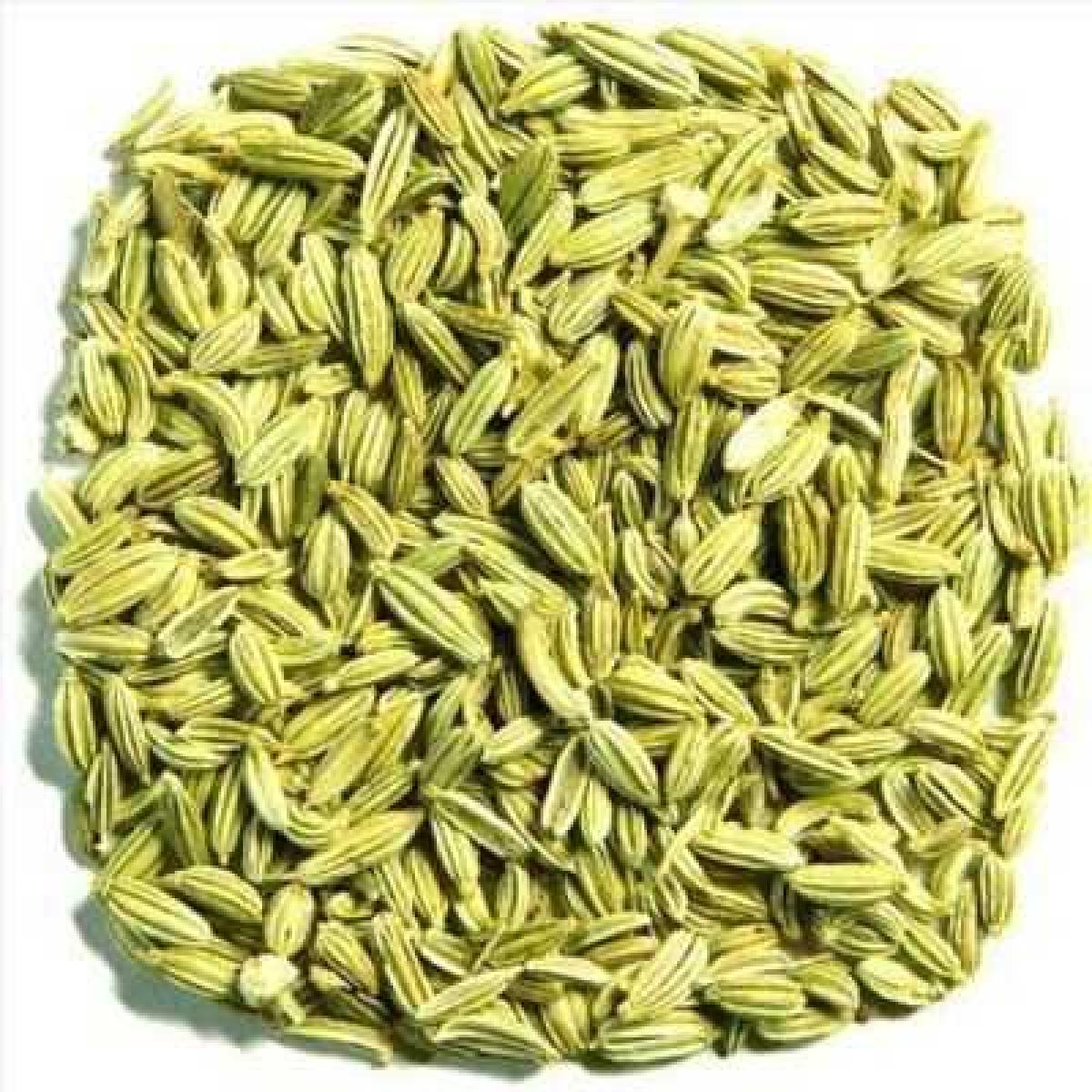 Fennel Seed