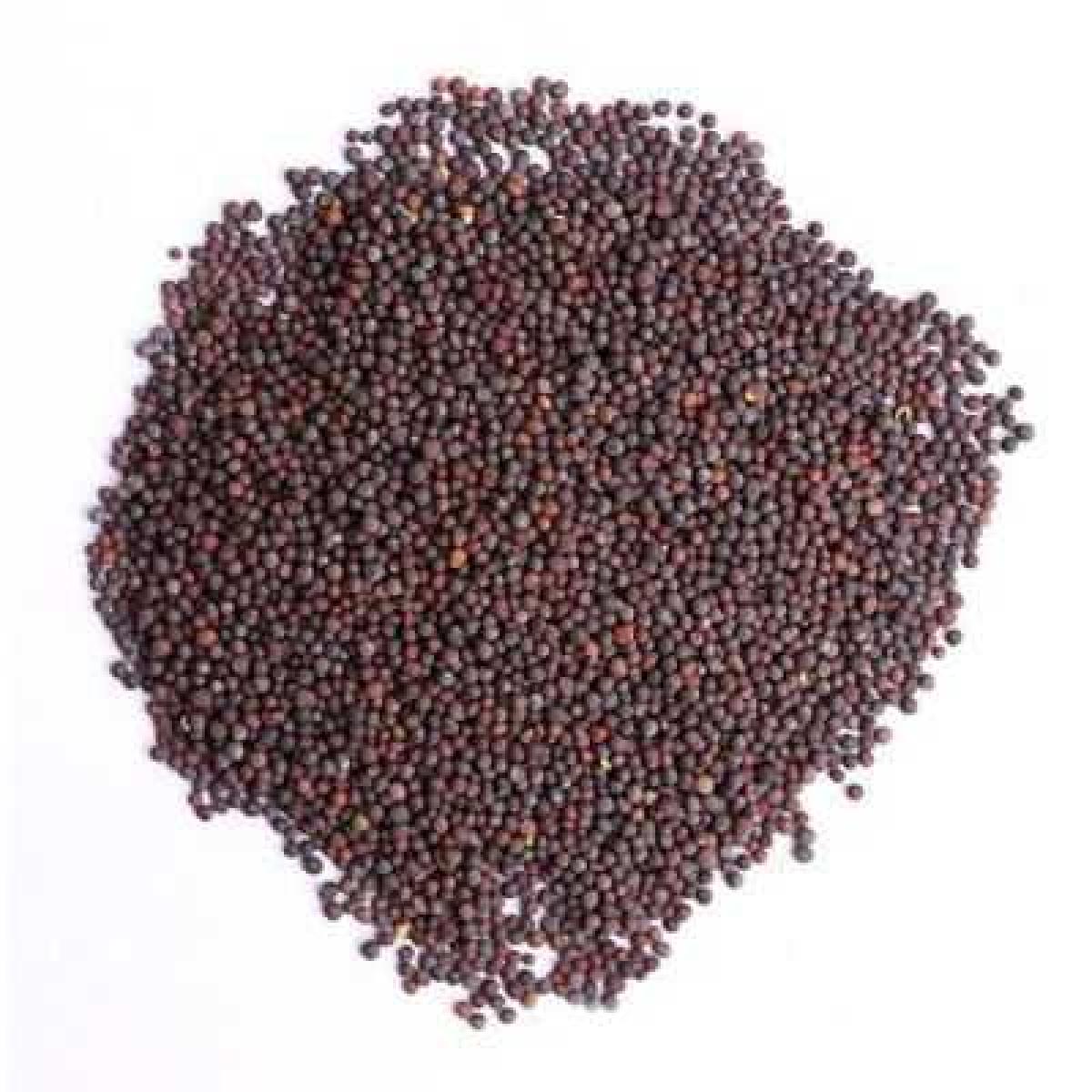 Mustard Seed - Whole