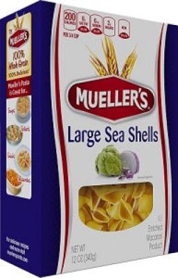 Large Sea Shells