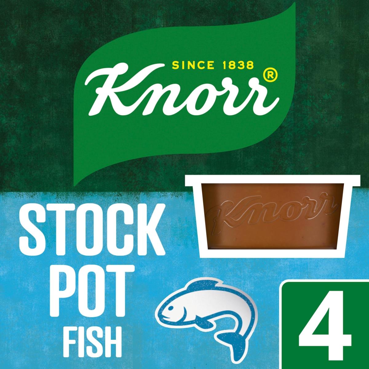 Fish Stock Pot