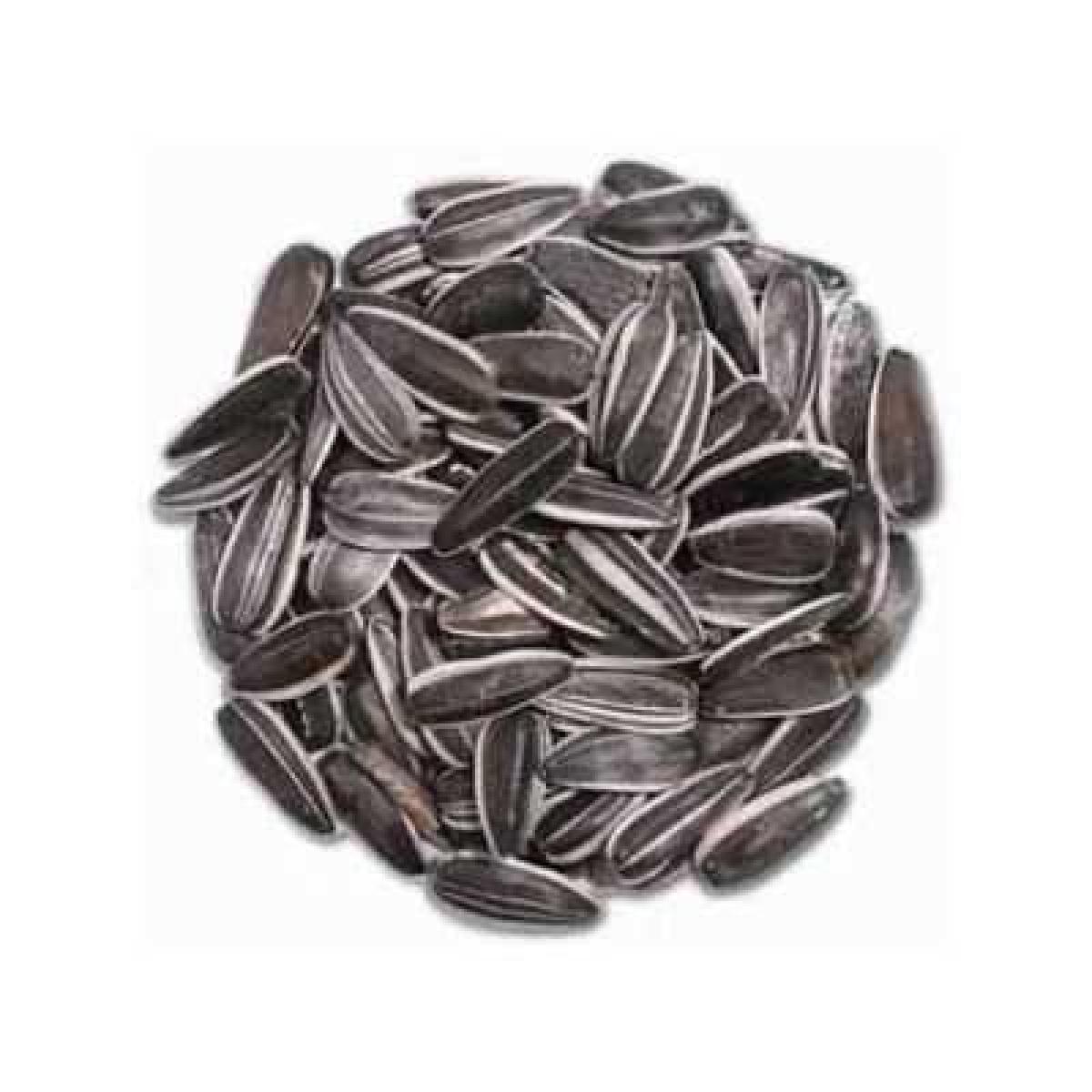 Sunflower Seed - Whole