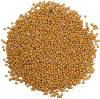 Mustard Seeds