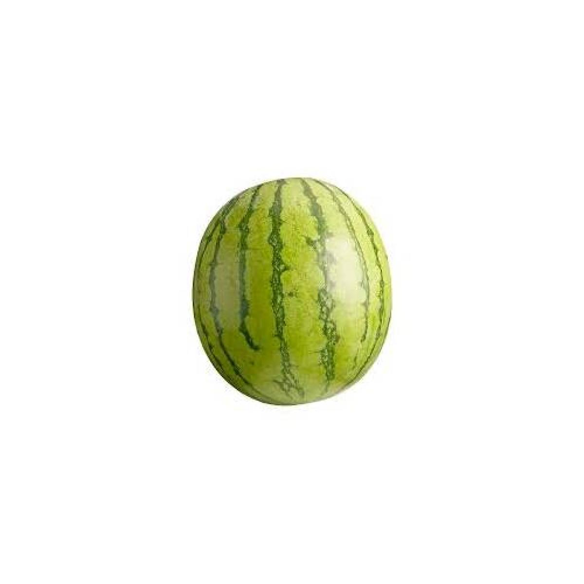 Watermelon - Large