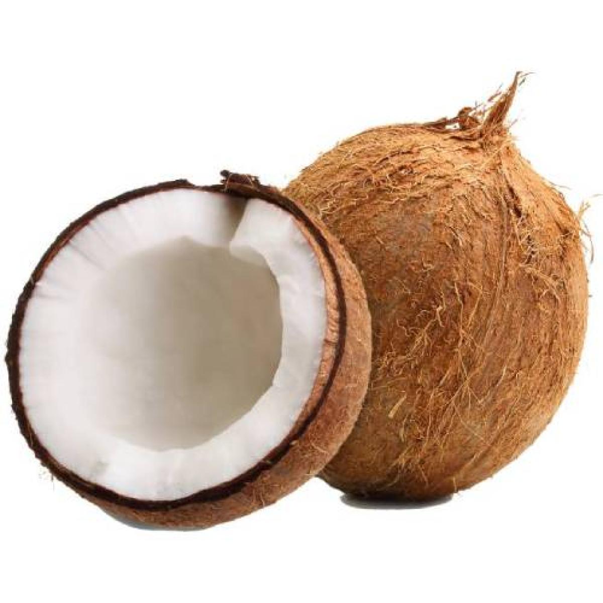 Coconut