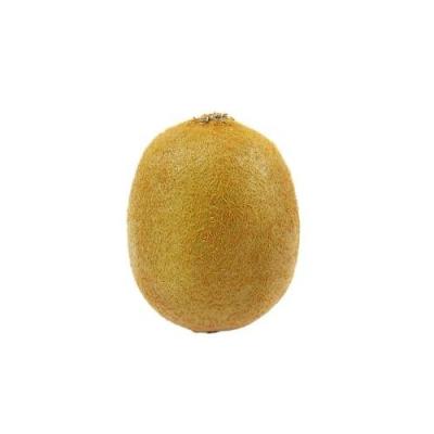 Kiwi x1