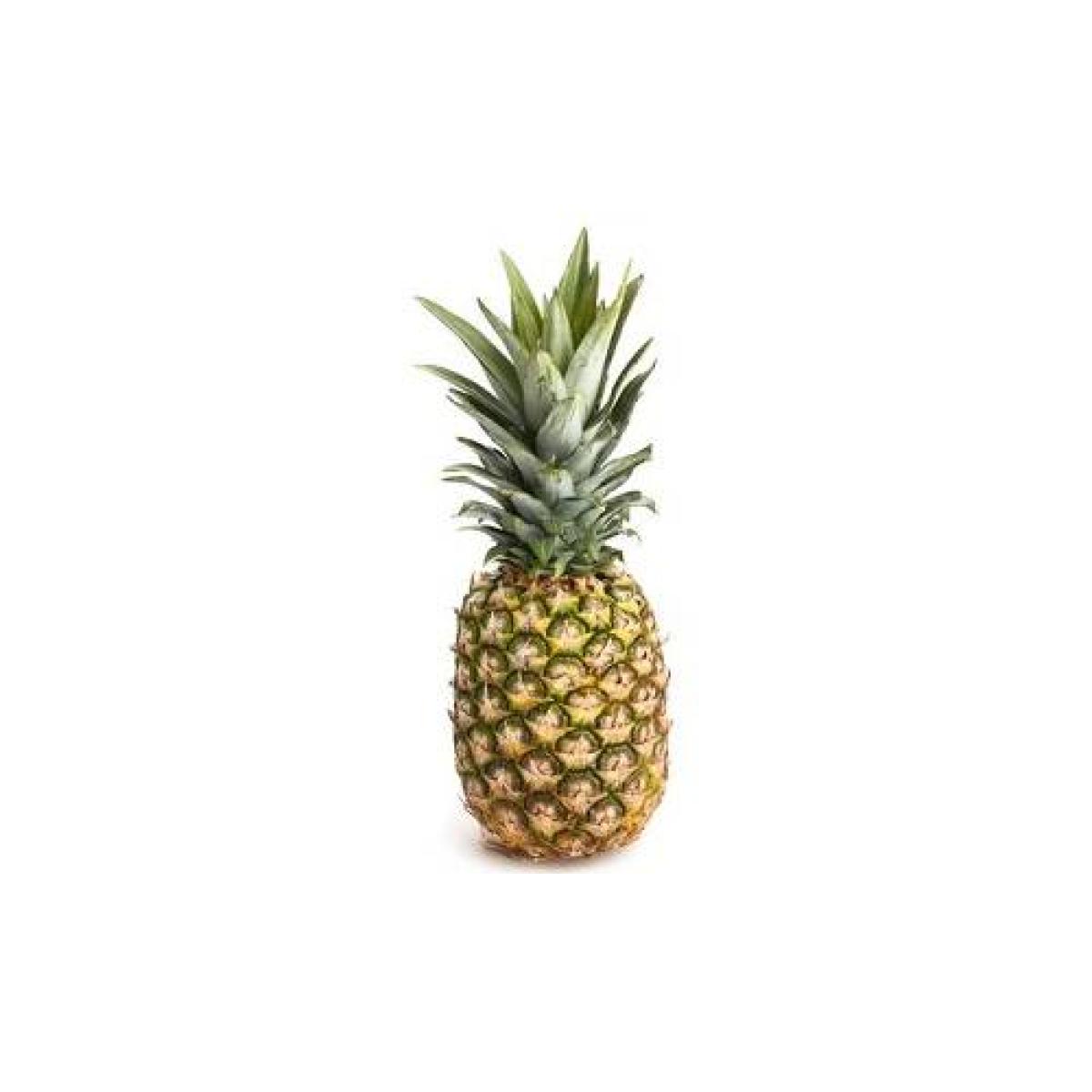 Pineapple - Bendel x6