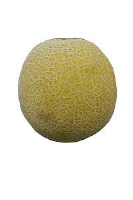 Musk Melon - Imported