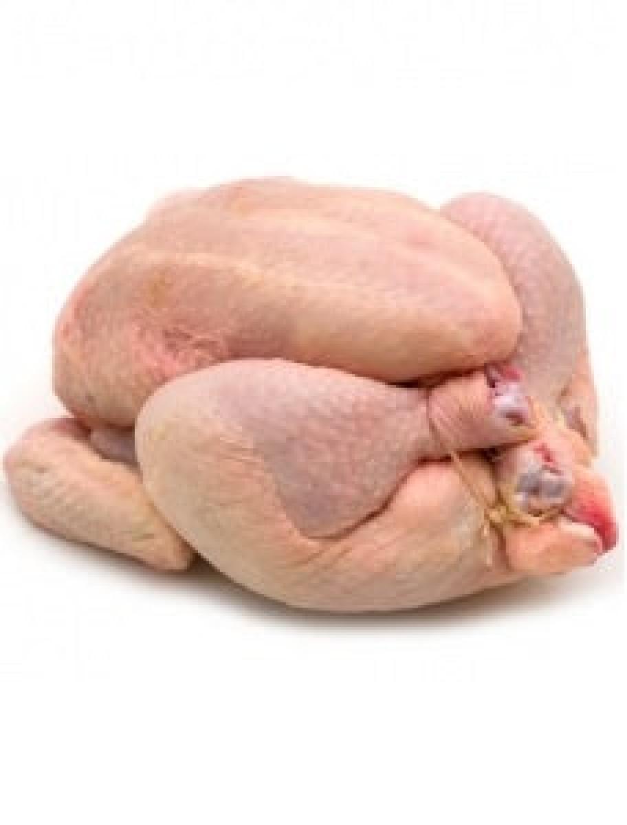 Chicken - Cockerel - Cut Up