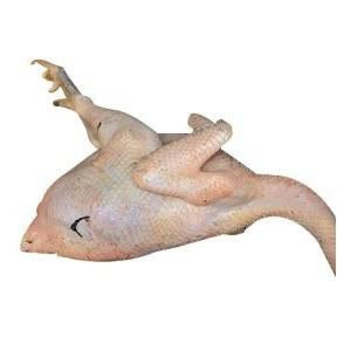 Chicken - Agric Medium - Cut Up