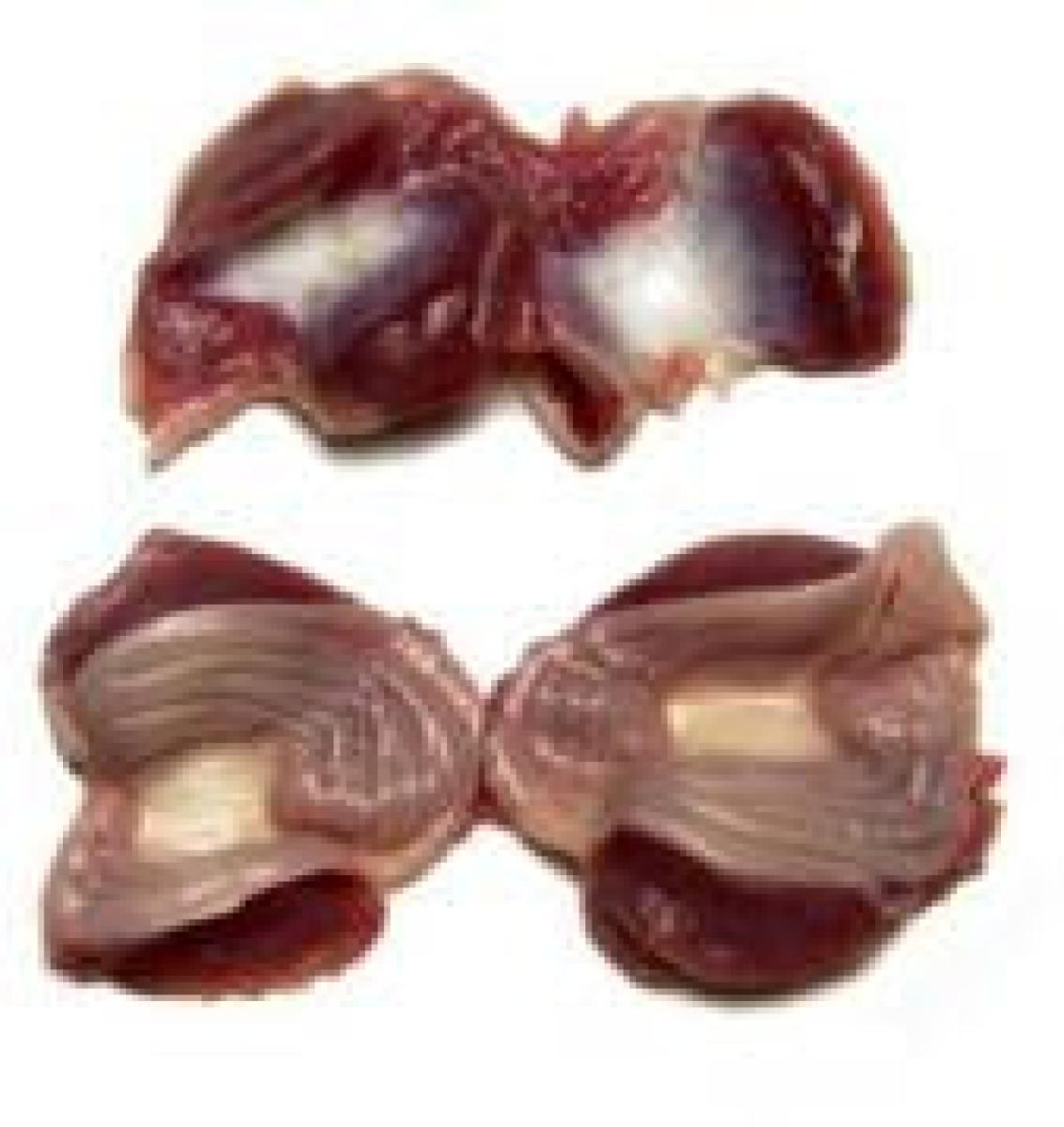 Chicken Gizzard ~2 kg - Frozen