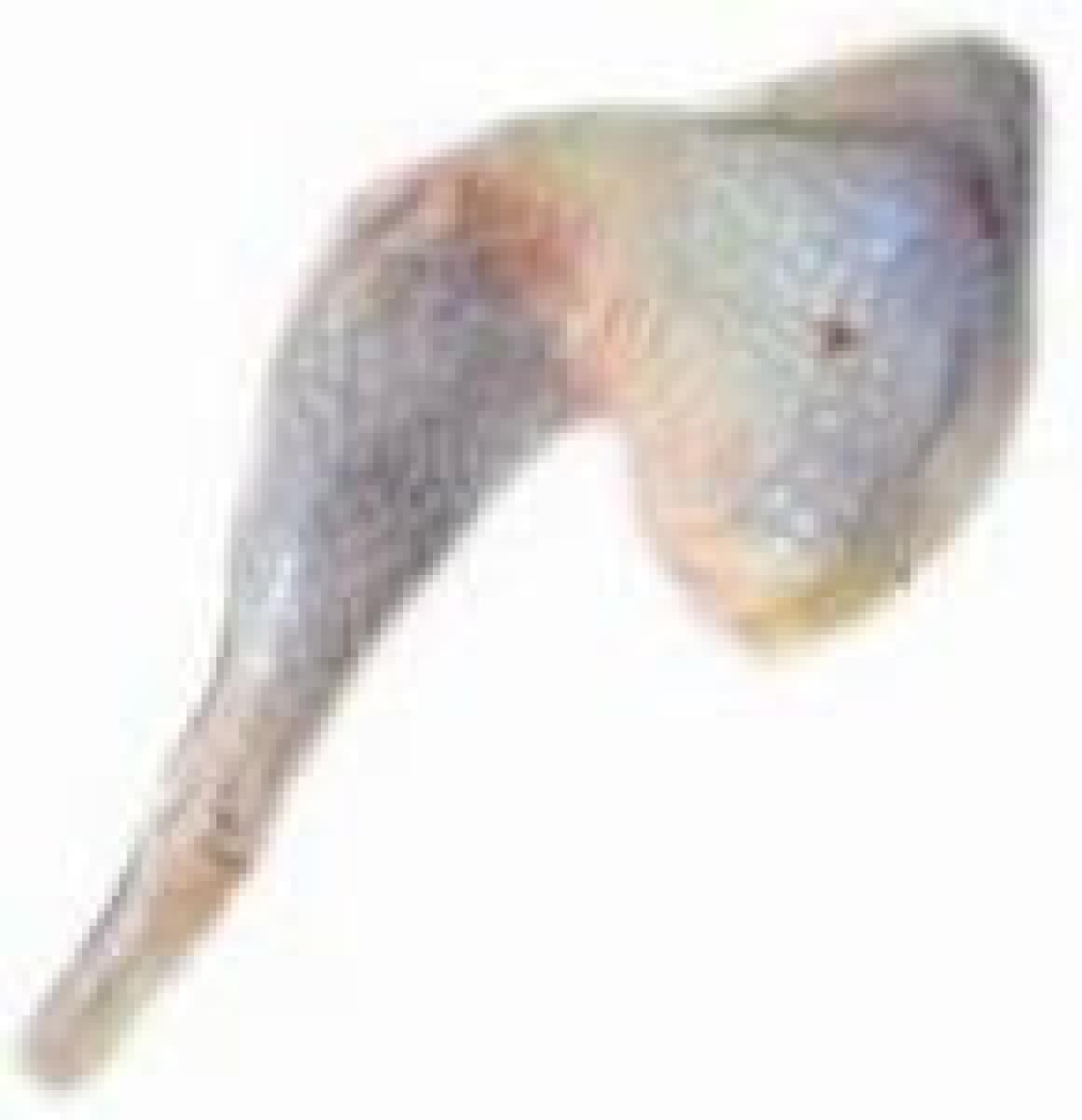 Chicken Laps - Hard ~1 kg - Frozen