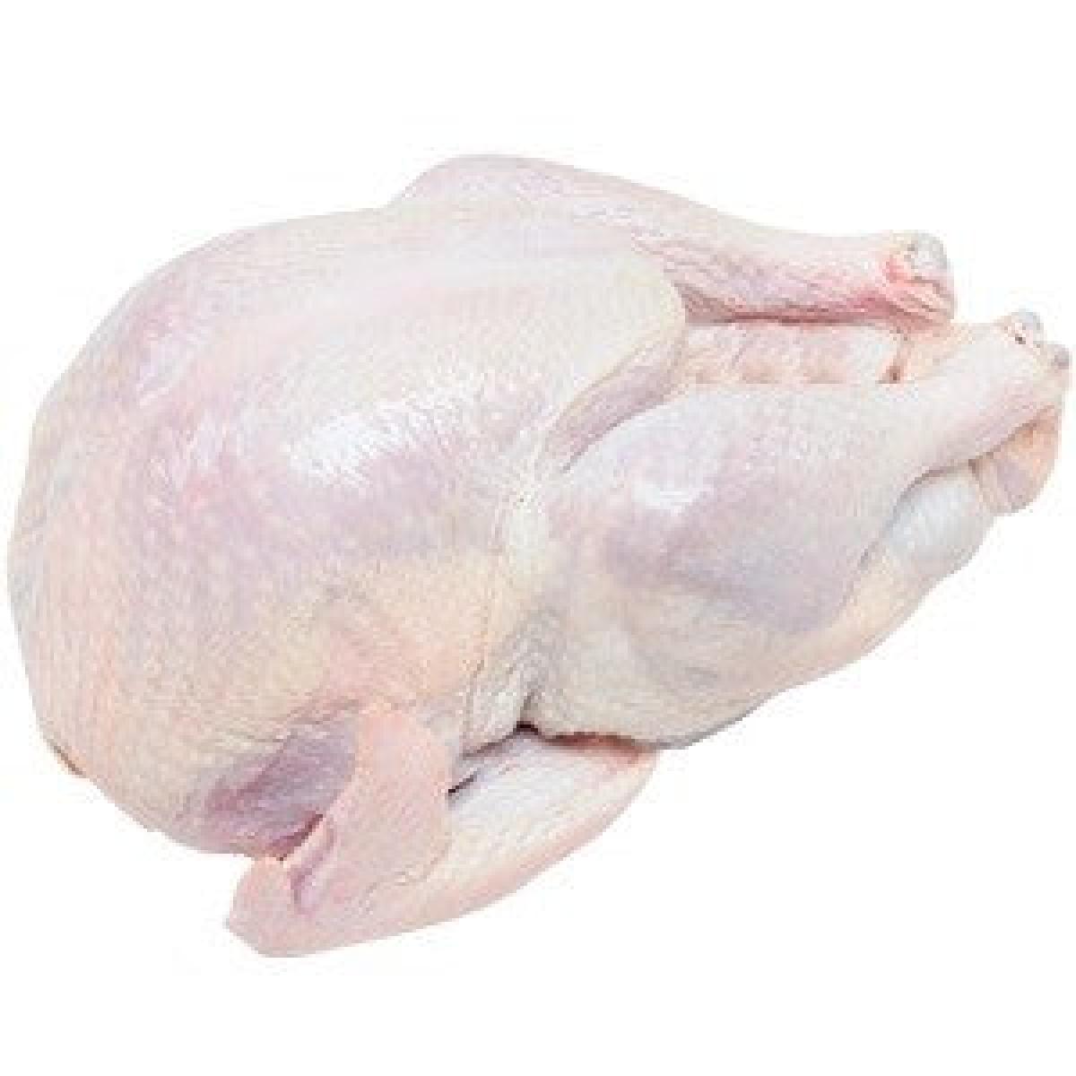 Whole Fresh Turkey - Killed & Cleaned (Delivered in 24 Hours)