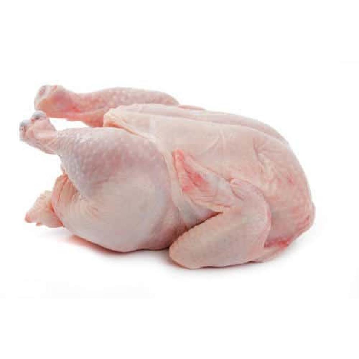 Dressed Chicken ~1.2 kg