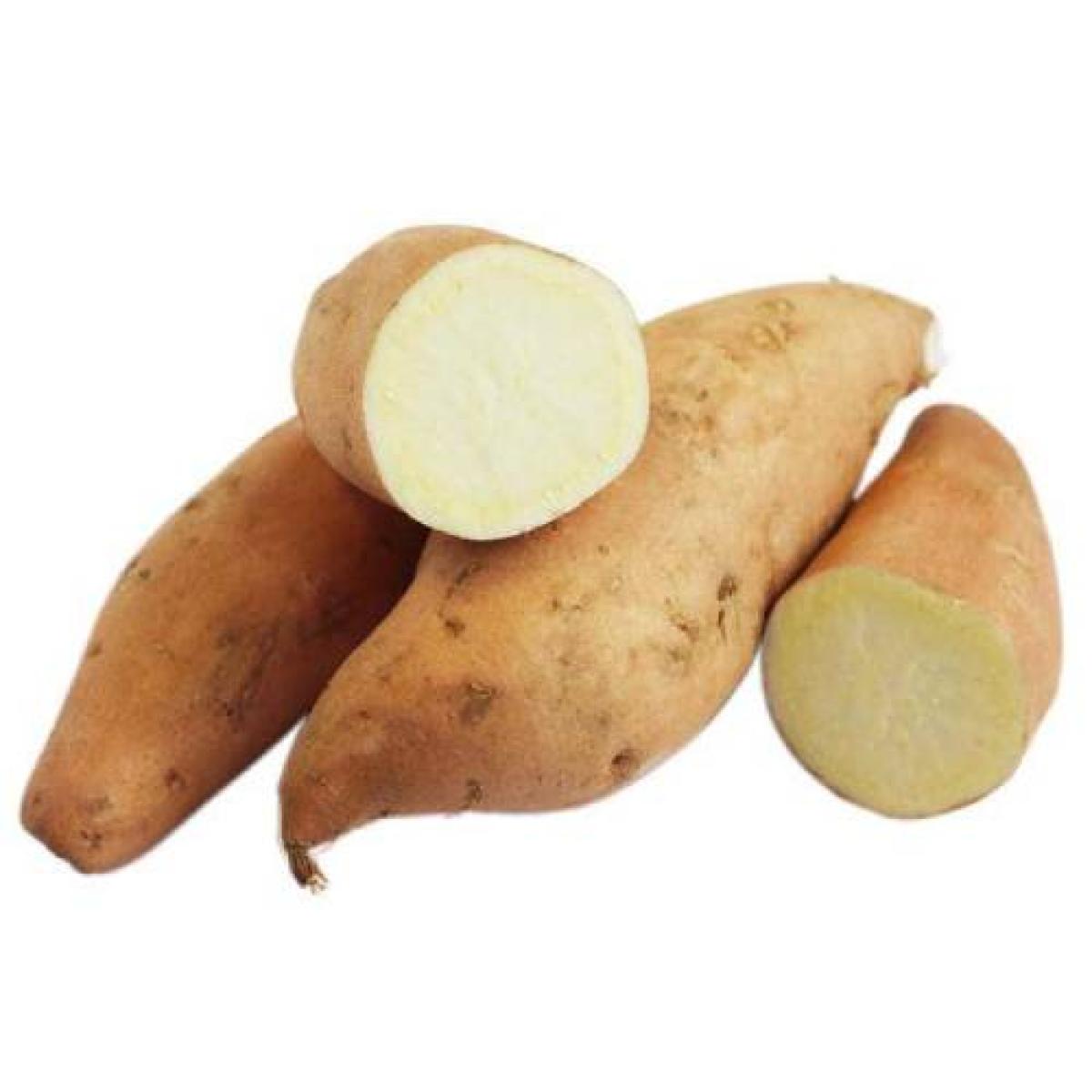Sweet Potato - White