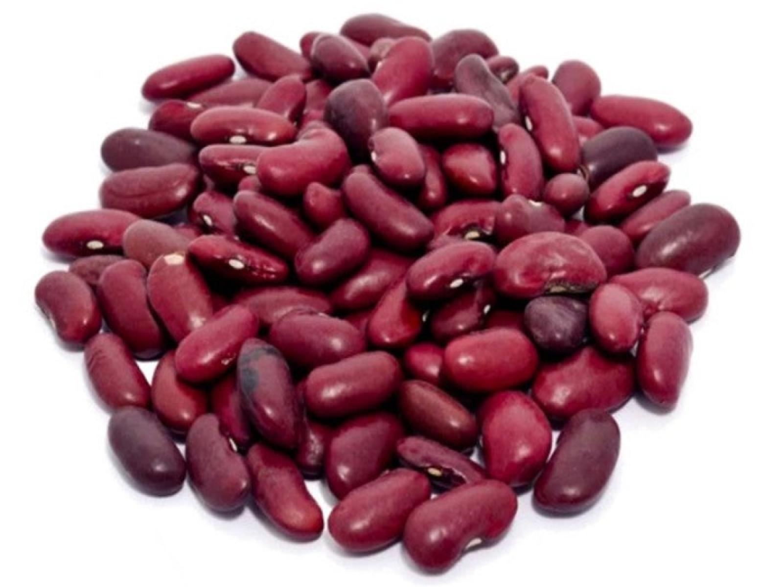 Red Kidney Beans (Derica Cup)