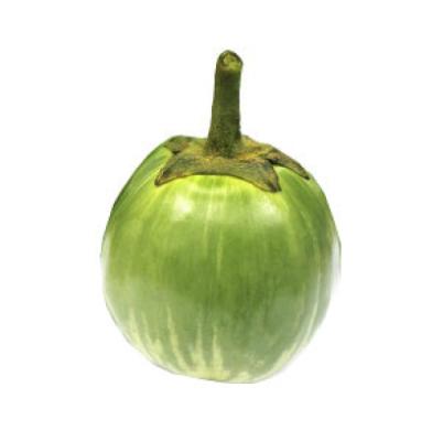 Garden Egg - Regular x4