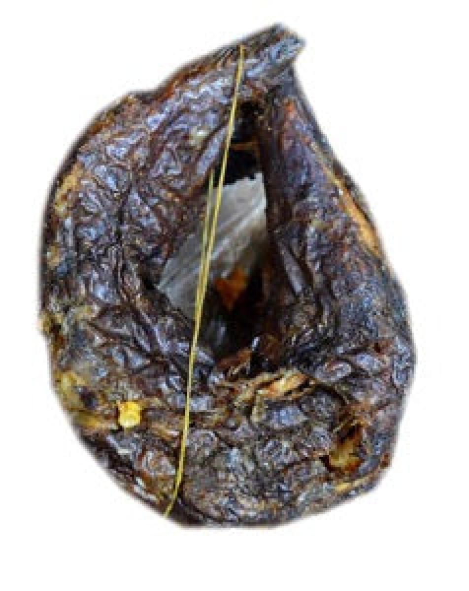 Asa Fish - Small x1 (Dried)