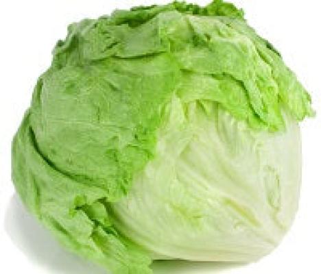 Iceberg Lettuce