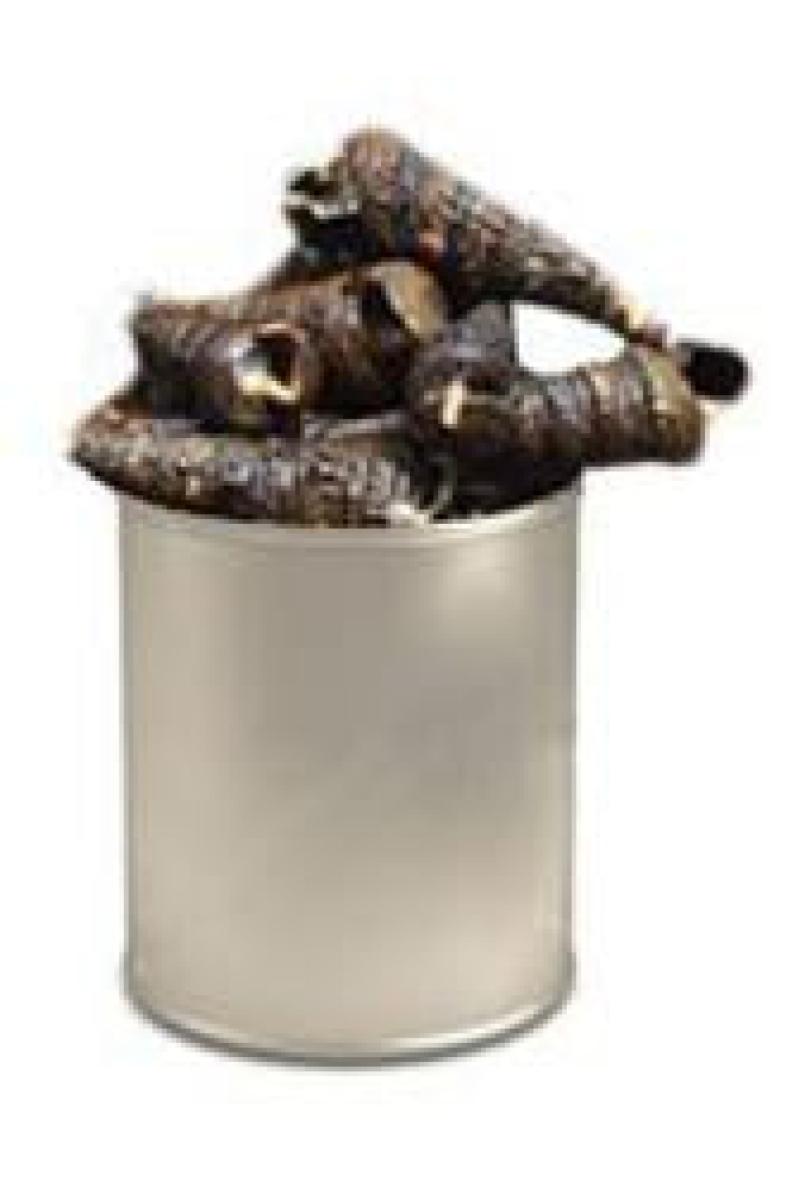 Periwinkle - With Shell (Milk Cup)