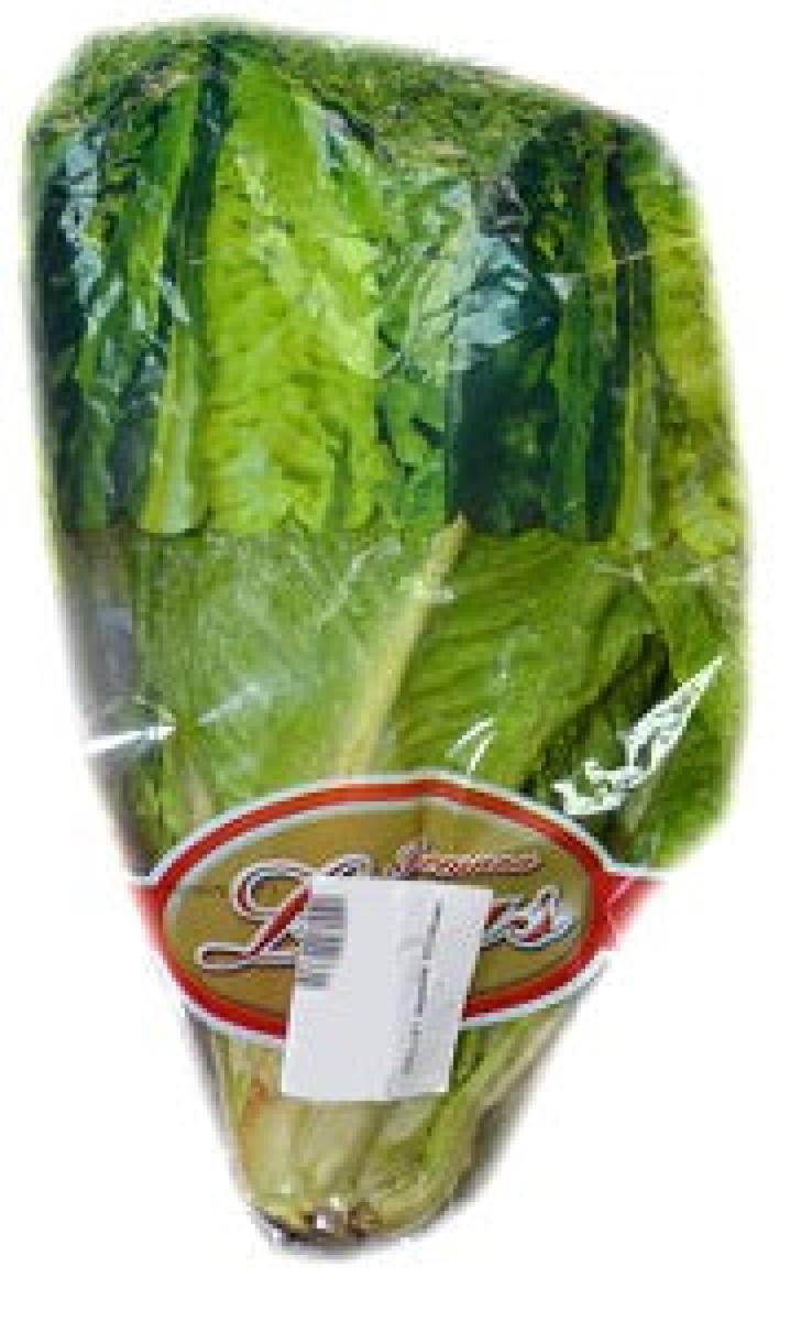 Romana Lettuce - Imported ~1 kg
