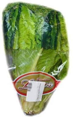 Romana Lettuce - Imported ~1 kg