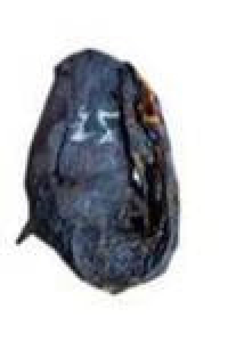 Catfish - Large x3 (Dried Fish)