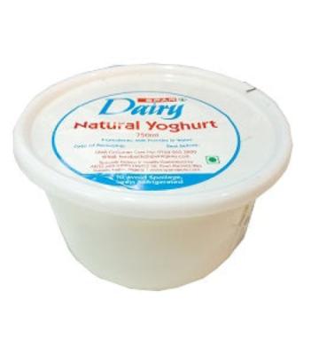 Fresh N Creamy Yoghurt