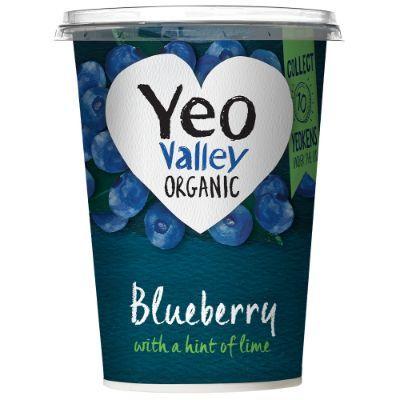 Yoghurt Blueberry