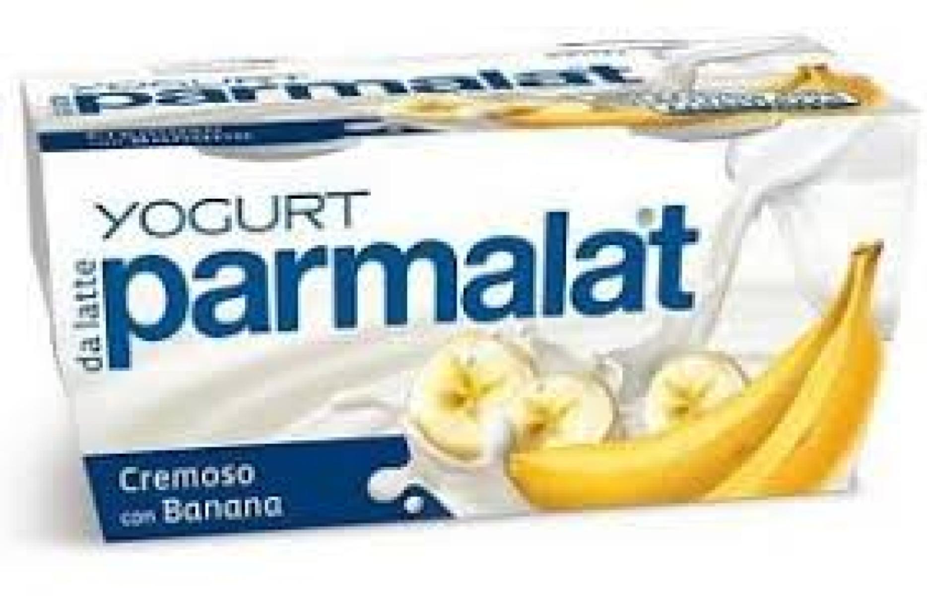 Dairy Snack Banana
