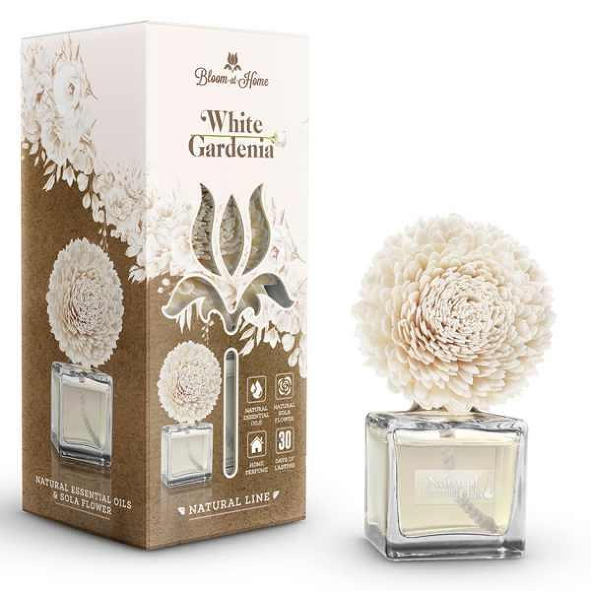 Natural Essential Oils & Sola Flower White Gardenia