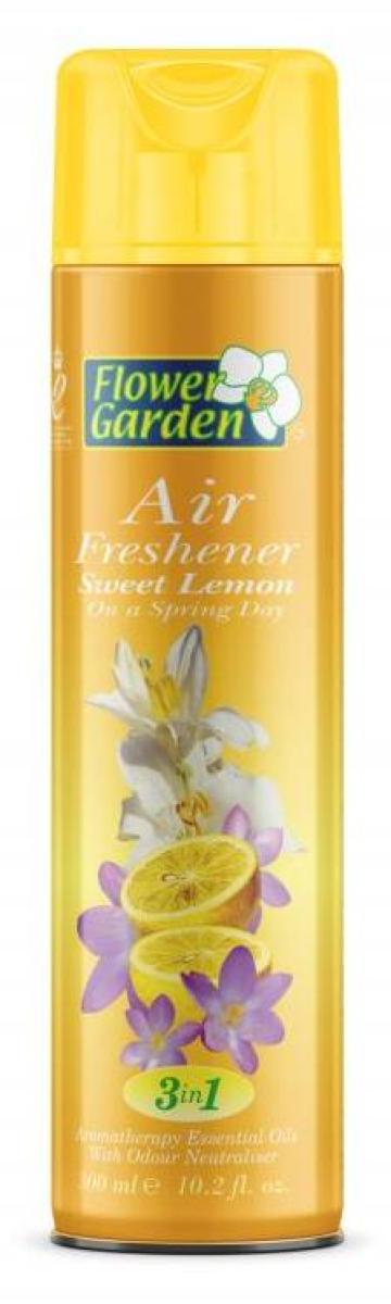 Air Freshener Assorted