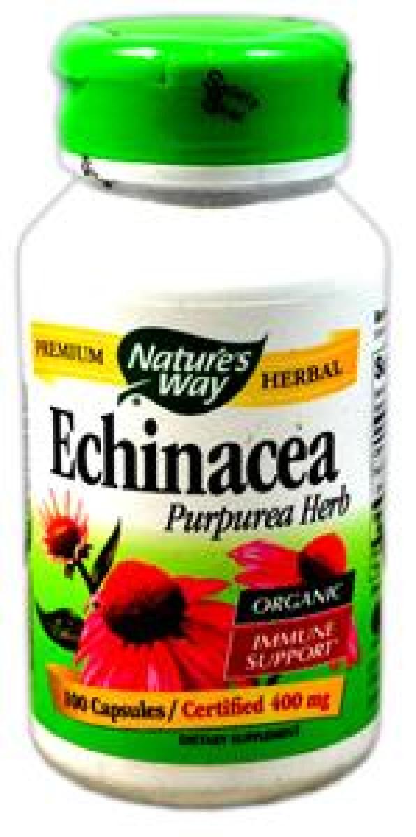 Echinacea Purpurea Herb