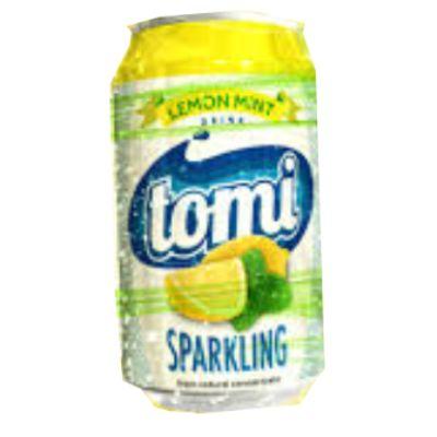 Lemon Mint Sparkling Drink