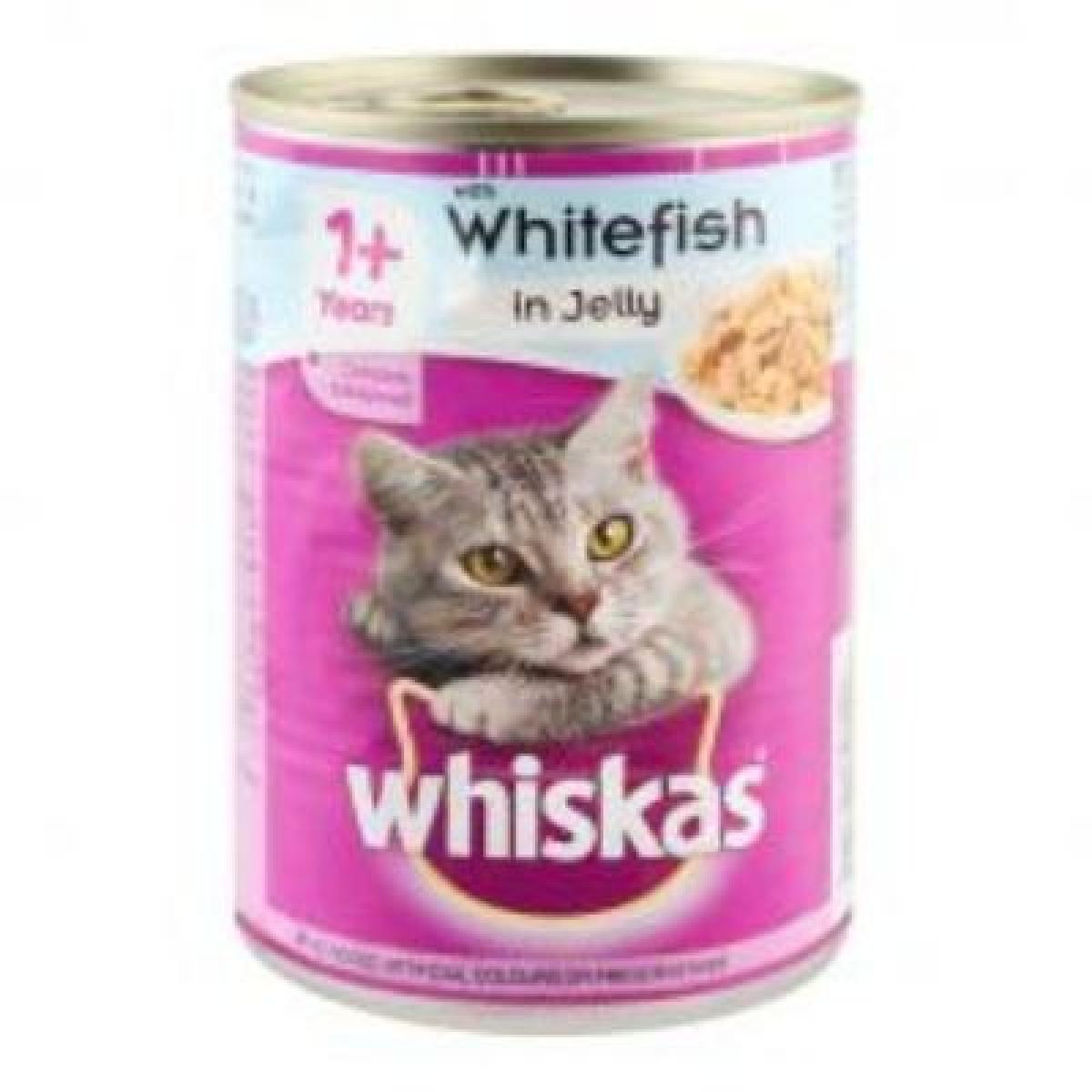 Whitefish In Jelly Cat Food