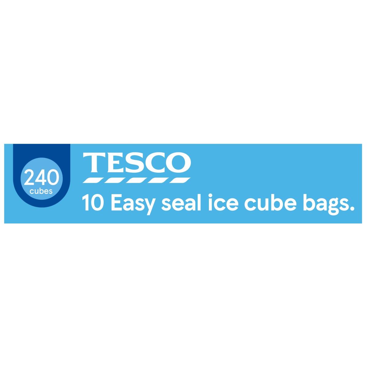 Easy Seal Ice Cube Bags 10's