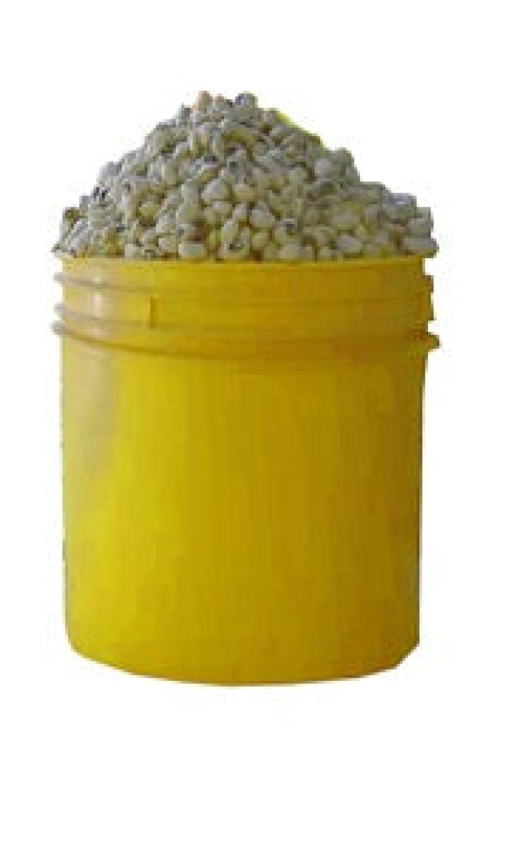 Black Eyed Beans (Paint Bucket)