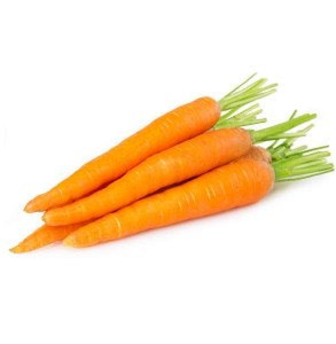 Carrot