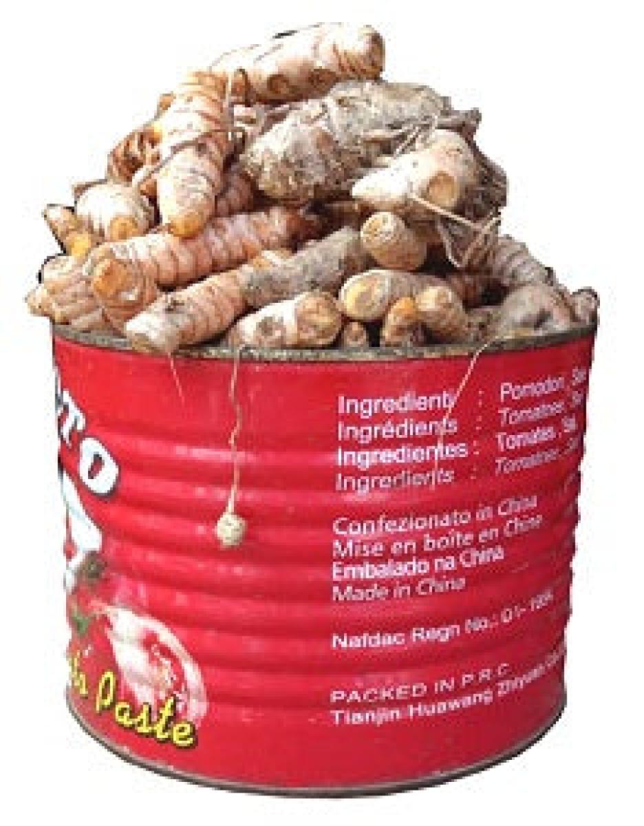 Turmeric Seed (Paint Bucket)