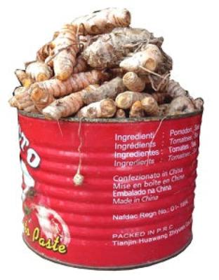 Turmeric Seed (Paint Bucket)