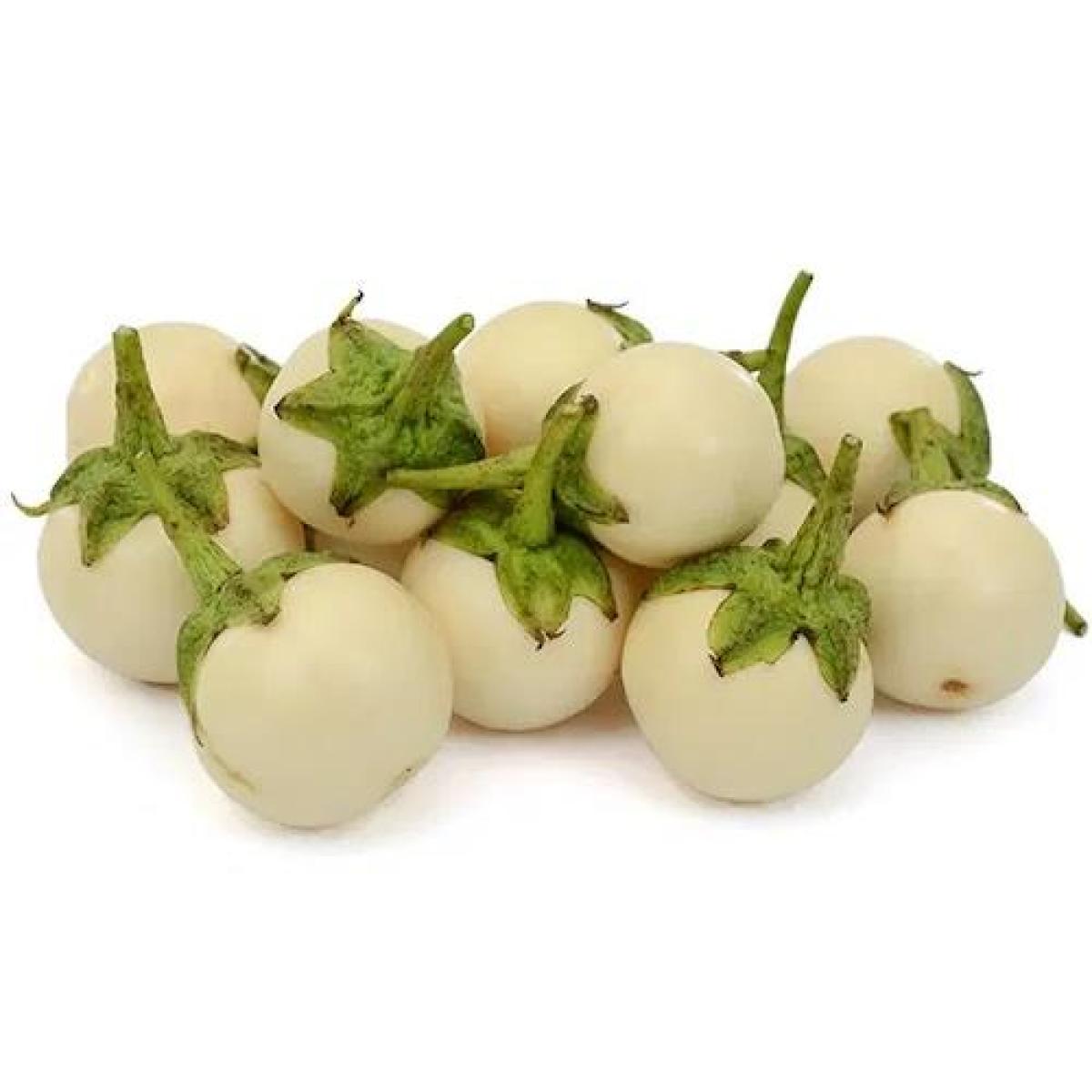 Garden Egg - White (Paint Bucket)