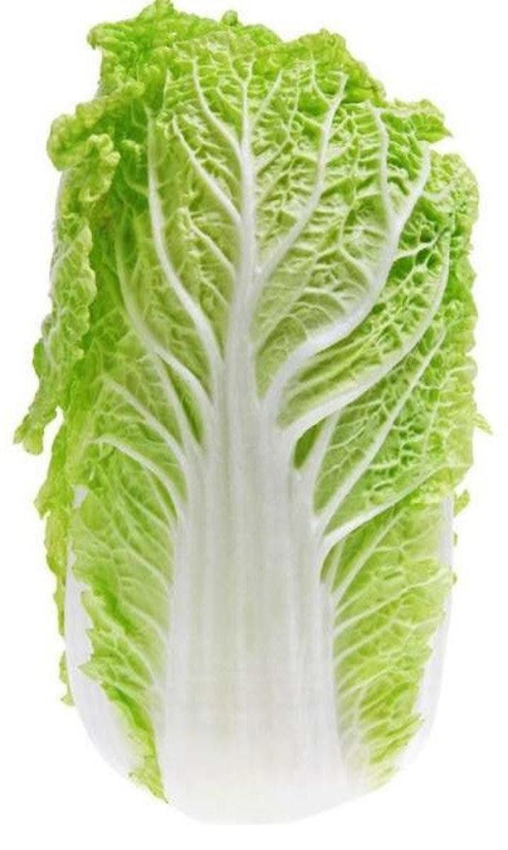 Chinese Cabbage ~1 kg