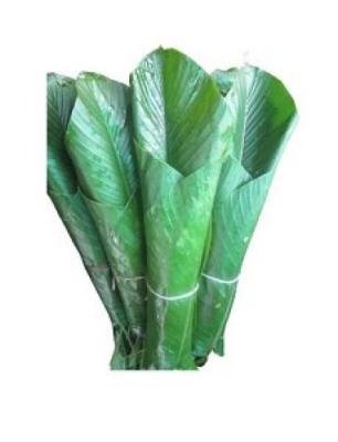 Moinmoin Leaves Bundle