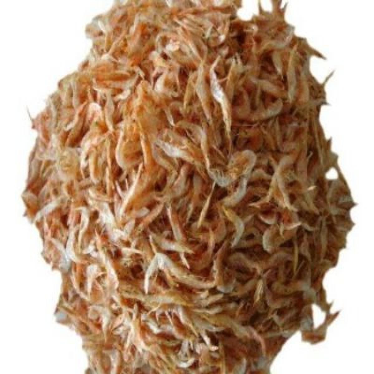 Crayfish - Whole (Paint Bucket)