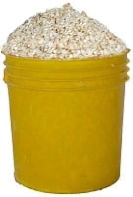 White Corn (Paint Bucket)