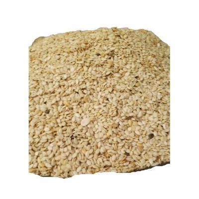 Egusi - Small Seed (Paint Bucket)