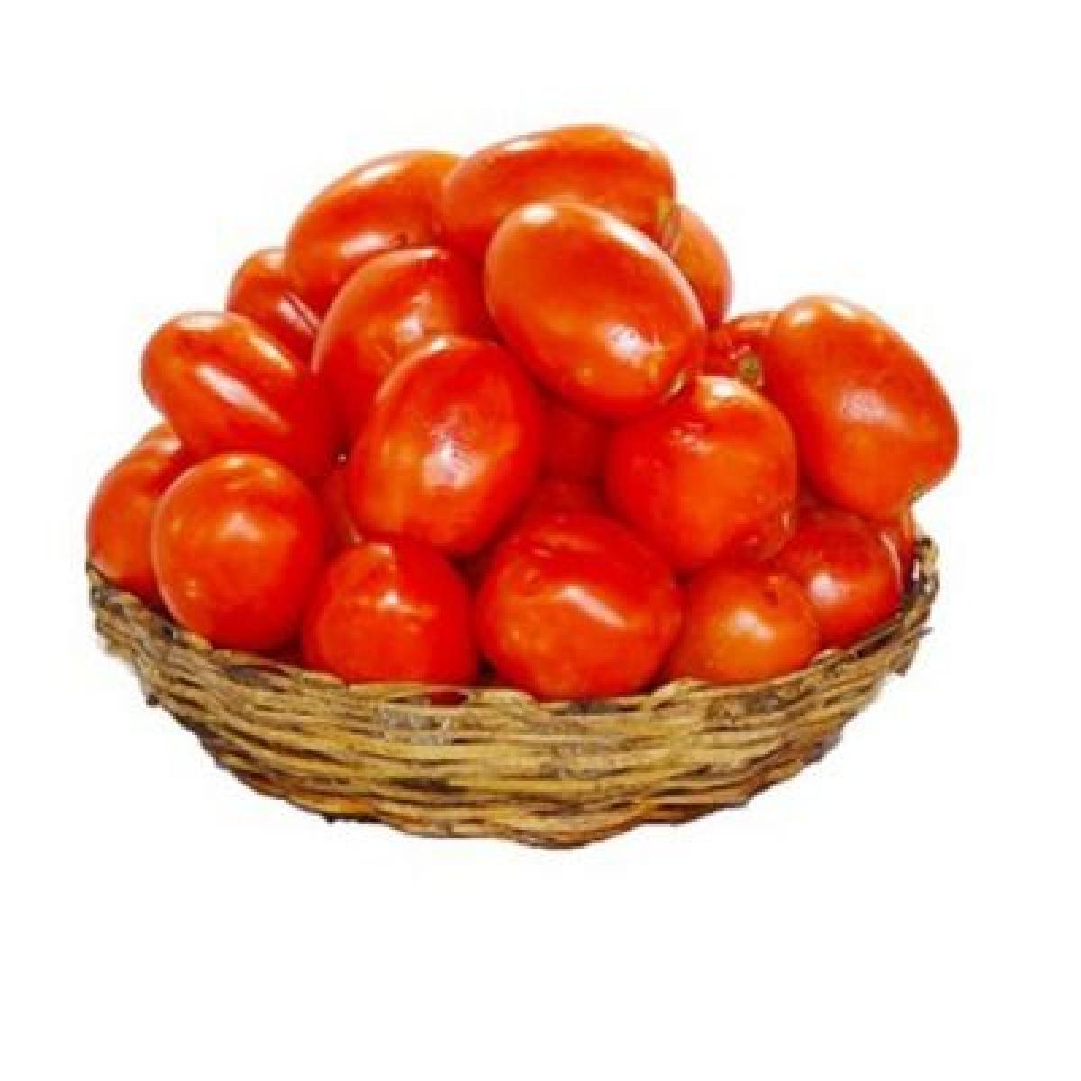 Tomatoes (Paint Bucket)
