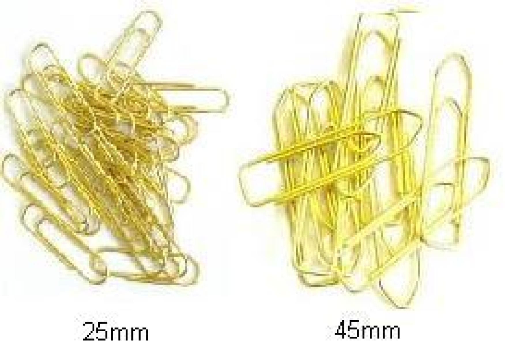 Brass Paper Clips - x100
