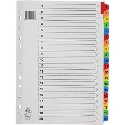 Mylar A4 Index 1-20 - White Colour