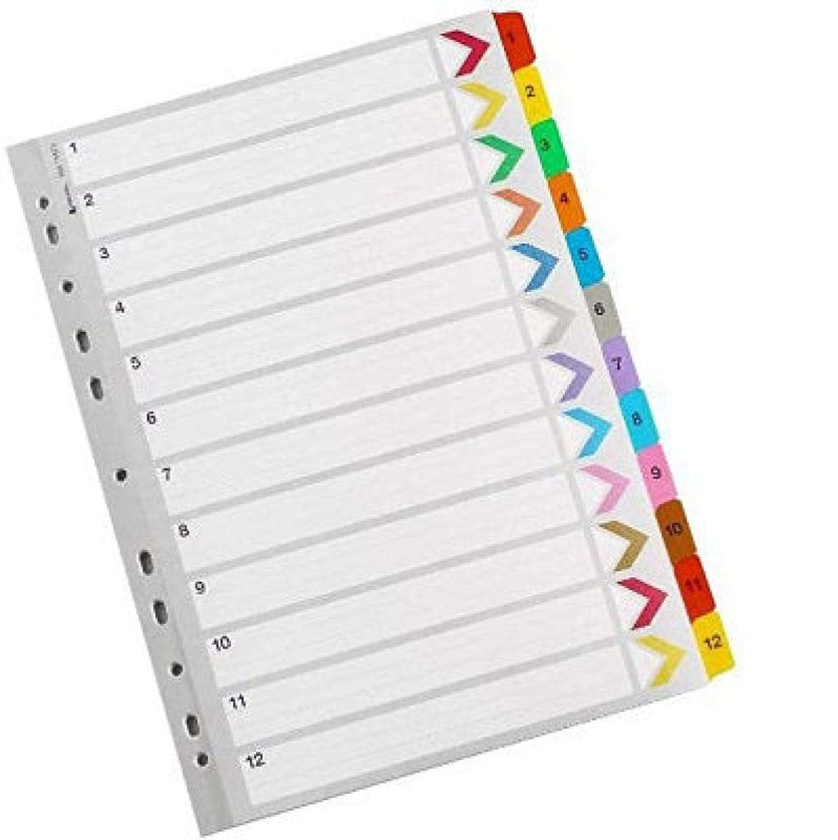 Mylar Reinforced Index 1-12 - Color