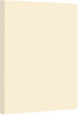 First Class Letter Head A4 Paper 100 gsm 250 Sheets - Ivory Cream